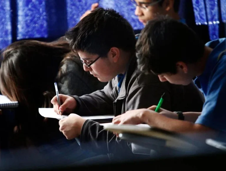 Region de La Araucania FUAS 2024: gratuidad en La Araucanía supera el 66% de la matrícula de la educación superior El proceso de inscripción culmina el 22 de octubre en www.fuas.cl.