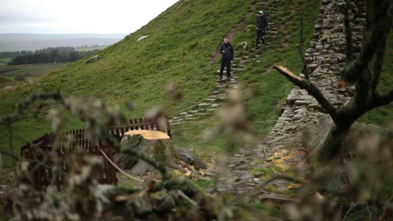 Internacional Noticias #Inglaterra «Pura bravuconería»: condenan a 4 años de cárcel a hombres que talaron el «árbol de Robin Hood»